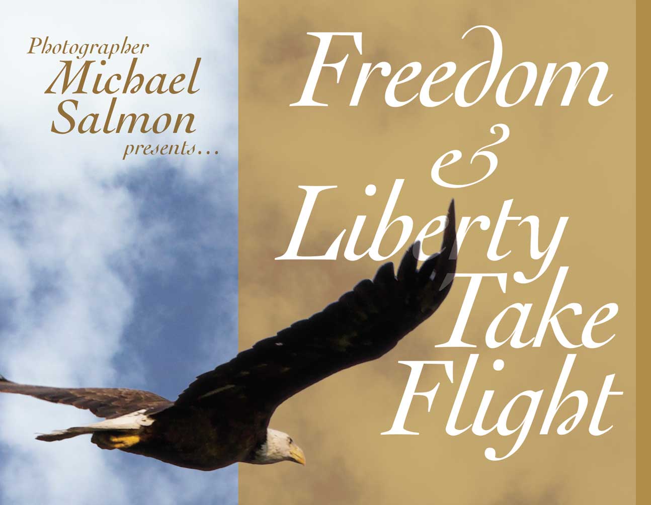 Photographic Children's Book: Freedom and Liberty Take Flight, by Michael Salmon